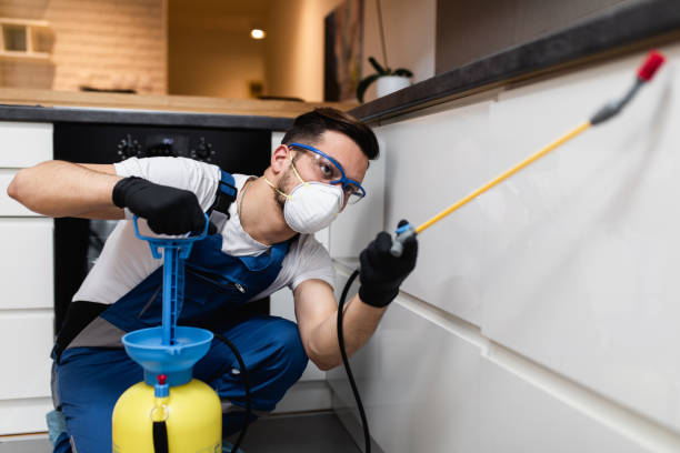 Best Best Pest Control Companies  in Coral Gables, FL