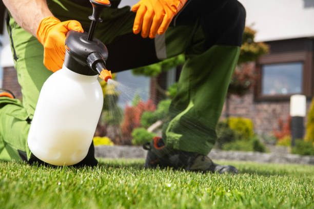 Best Emergency Pest Control  in Coral Gables, FL