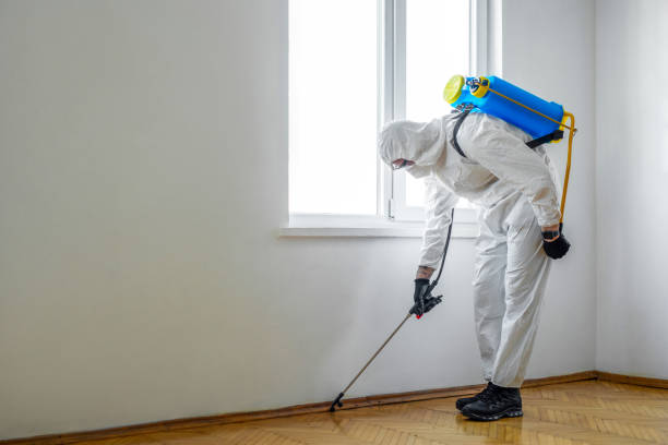 Best Termite Control Services  in Coral Gables, FL