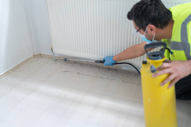 Best Cockroach Control Services  in Coral Gables, FL