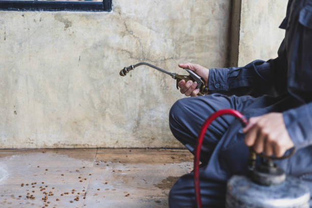 Best Pest Removal Services  in Coral Gables, FL
